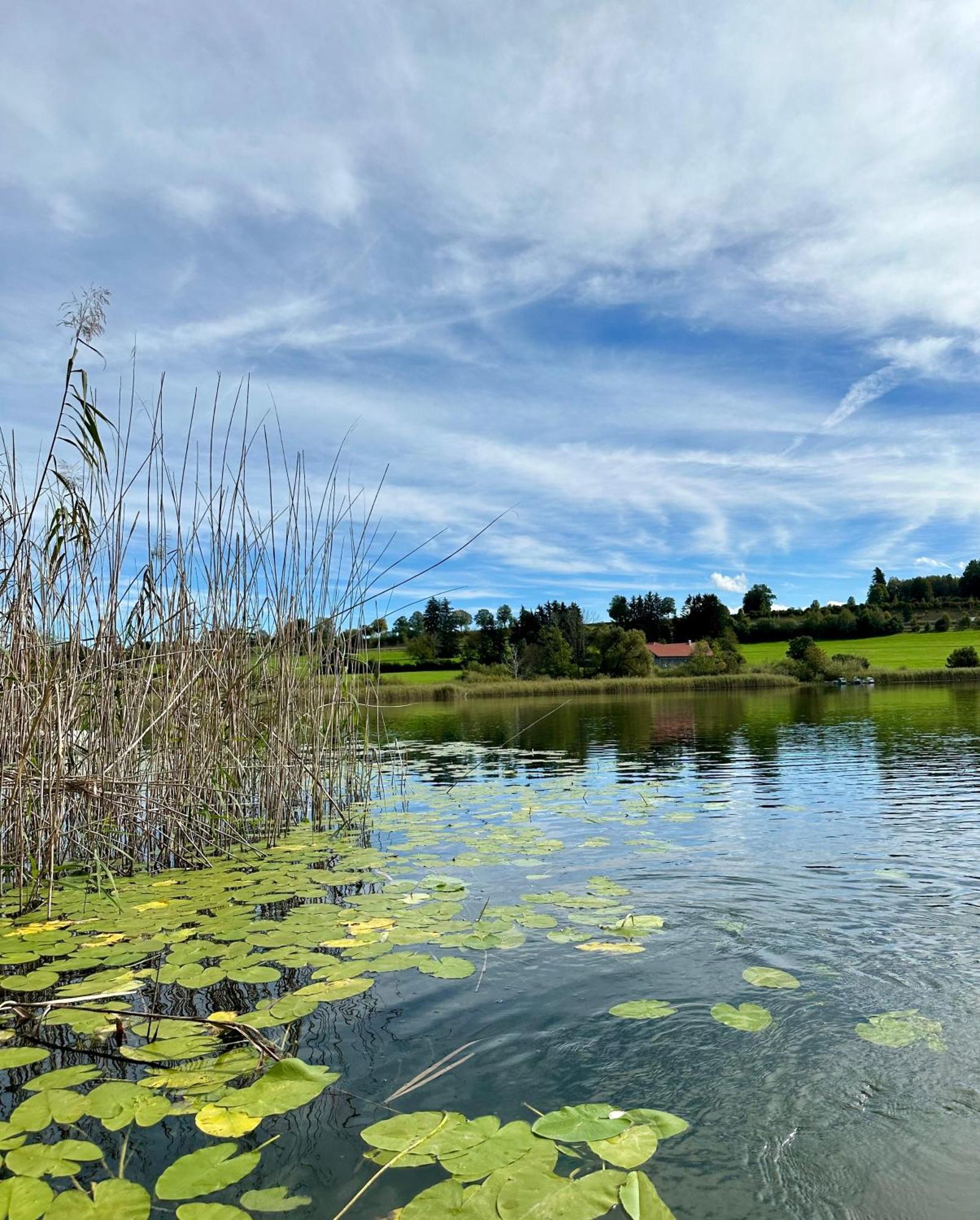 Landsitz Rocky Docky Villa Niedersonthofen Exteriör bild